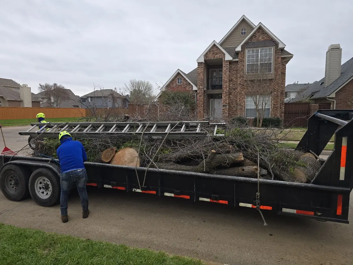 Expert Tree Removal with proper safety equipment in North Babylon